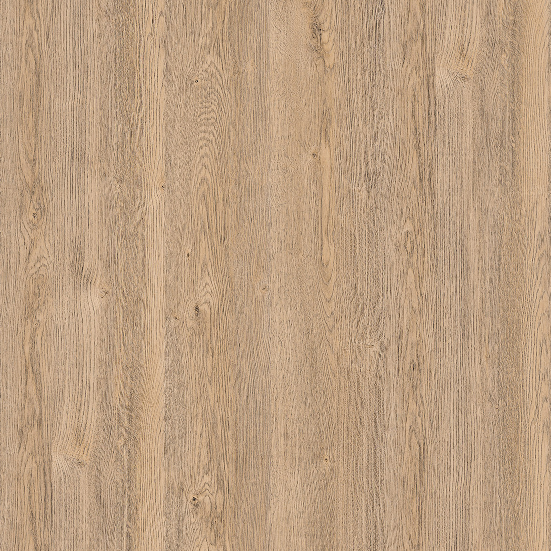 Sand Expressive Oak